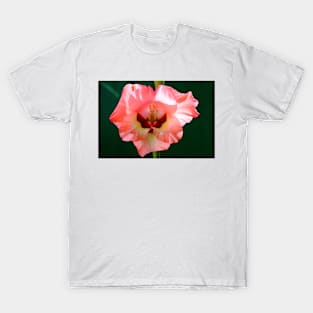 Claire Rosé Fleuri T-Shirt